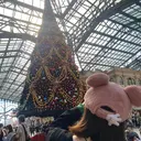 ニュアンス🥀個性派 MIYU🪅のプロフィール画像