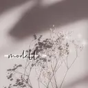 modello tsugumiのプロフィール画像