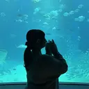 西崎 満里奈のプロフィール画像