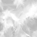 favori金山 江畑のプロフィール画像