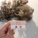 蓮見  友里のプロフィール画像