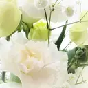 ダイエット・美肌ケア fleurのプロフィール画像