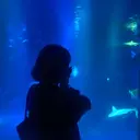 BALANCE ゆなのプロフィール画像