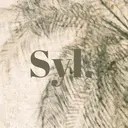 syl. jr nailistのプロフィール画像