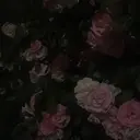 ルプラボウ 石田渚夏のプロフィール画像