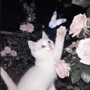 齋藤 沙羅のプロフィール画像