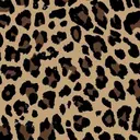 ONIK Anail KARENのプロフィール画像