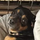 岡本 大吉のプロフィール画像