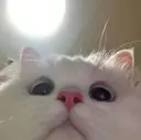 高津 愛梨のプロフィール画像