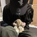 可知 幸輝のプロフィール画像