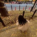 小関 琴瑚のプロフィール画像