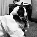 Takasaku Shugoのプロフィール画像