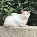 廣瀬 叶絵のプロフィール画像