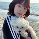 🎀韓国レイヤー YURINA🎀のプロフィール画像