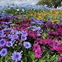 Tiary Nail Fのプロフィール画像