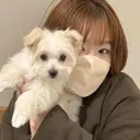 Marina Yamagataのプロフィール画像