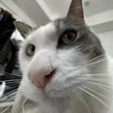DA Miのプロフィール画像