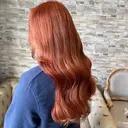 THE BALM Rosagasのプロフィール画像