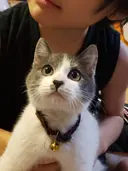 斎藤 Ri-na-il長浜のプロフィール画像