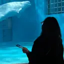 AGATA西風新都店 久野咲月のプロフィール画像