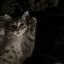 蛭田 璃乃のプロフィール画像