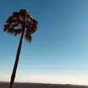 anocharm ☻ HIKARIのプロフィール画像