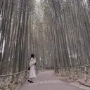 堀越 紅葉のプロフィール画像