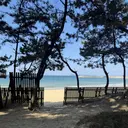 CHILO 里菜のプロフィール画像