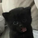 ☠️tar00pi ☠️のプロフィール画像