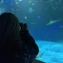 森本 美音のプロフィール画像