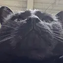 樽井 智恵子のプロフィール画像