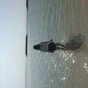 Honami ホナミのプロフィール画像