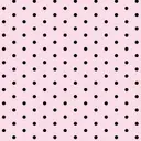 Reissy 横田のプロフィール画像