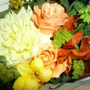 Aika アイカのプロフィール画像