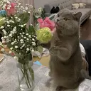 Angela nail💓のプロフィール画像