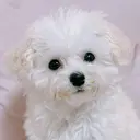 Beauty Salon Milkのプロフィール画像