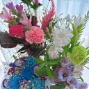 ツジ ミキのプロフィール画像