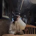 福井 希成のプロフィール画像