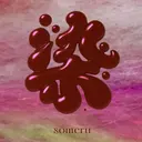 someru 染のプロフィール画像