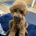 AKI🤎 よしこのプロフィール画像