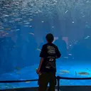 レディースカット モデル✂️中野裕介のプロフィール画像