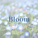 Bloom hiinaのプロフィール画像