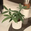 YUDA 湯田のプロフィール画像