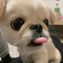 まつげパーマ mioのプロフィール画像