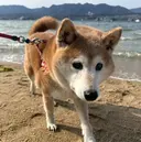 aya hair 水上のプロフィール画像