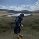 Dico こーうんのプロフィール画像