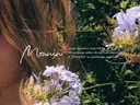 moanin モーニンのプロフィール画像