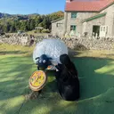 TiTi pomme hinaのプロフィール画像