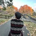 西川 大晴のプロフィール画像