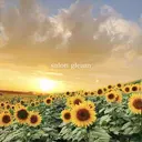 頭すっきり屋さん gleamのプロフィール画像